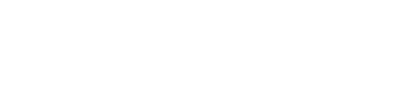light logo